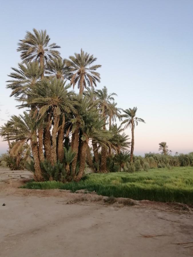 Gite Ait Lmaalam Chez Ahmed Skoura Exteriör bild